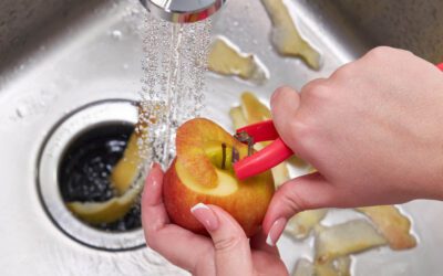 Run It Right: Garbage Disposal Tips Every Homeowner Should Know